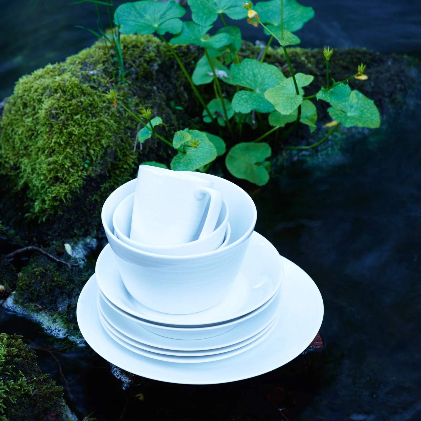 Whitewood Schaal 4 Whitewood Schaal - Afbeelding 2