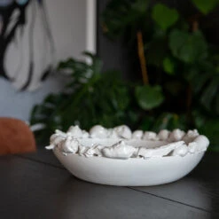 ByOn Shell Schotel 38 Cm -Beste Bestek Winkel 43316 01 02 d878647021