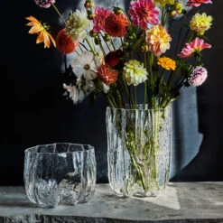 Kosta Boda Crackle Kom Groot 9 Kosta Boda Crackle Kom Groot -Beste Bestek Winkel 46937 01 04 60e5776176