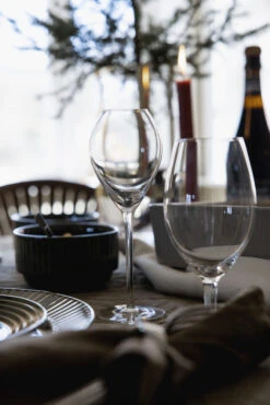 Sagaform Saga Champagneglas 2-pack 9 Sagaform Saga Champagneglas 2-pack -Beste Bestek Winkel 508650 01 3 EnvironmentImage 8ede8cca50