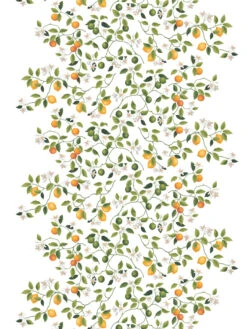 Citrusträdet Tafelzeil