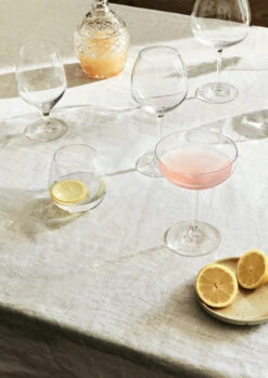 Rosendahl Premium Champagneglas 39 Cl 2-pack 7 Rosendahl Premium Champagneglas 39 Cl 2-pack -Beste Bestek Winkel 569564 01 4 EnvironmentImage 434b94baf1