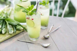 Hidcote Bright Lattelepel 4-pack -Beste Bestek Winkel 573683 01 40 EnvironmentImage 2dbe2342a7