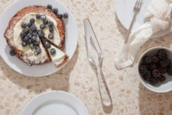 Eva Solo Taartschep -Beste Bestek Winkel 577148 01 5 EnvironmentImage c1ed52b5e7