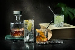 Orrefors City Cocktaillepel 170 Mm 2-pack -Beste Bestek Winkel 582238 01 41 EnvironmentImage 67a16491f5