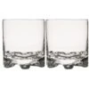 Iittala Gaissa Glas 2-pack -Beste Bestek Winkel p 16231 01 01 2179990304